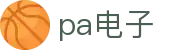 PA电子